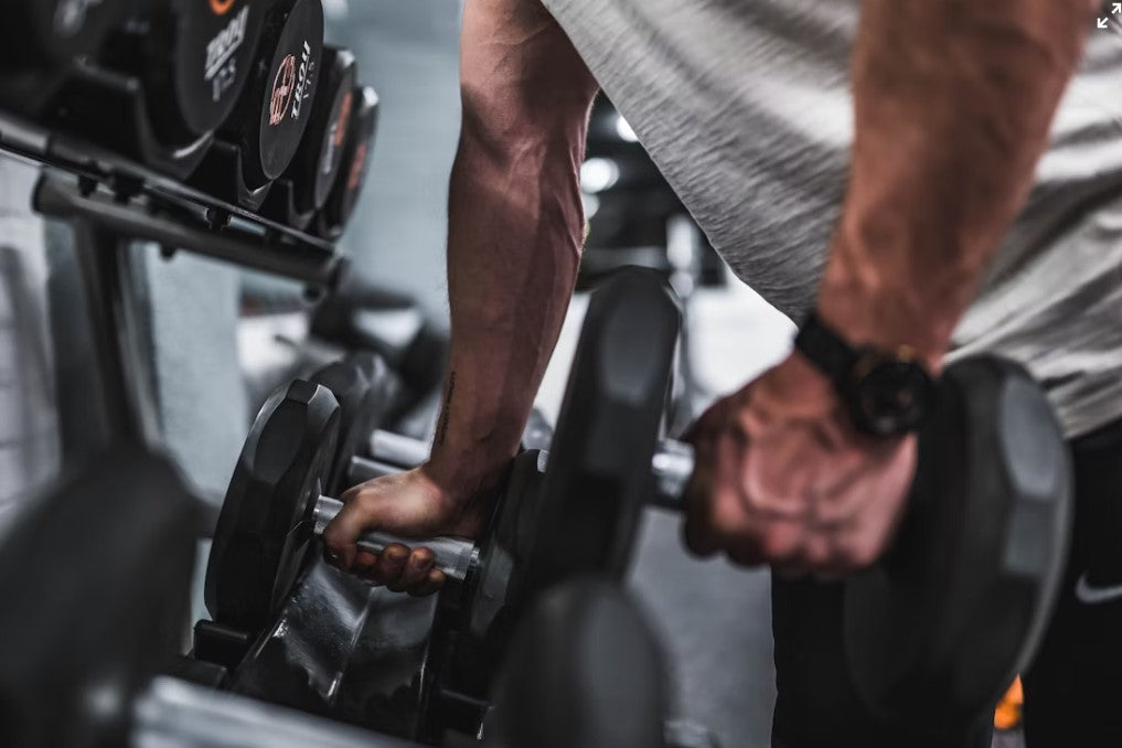 Fitness