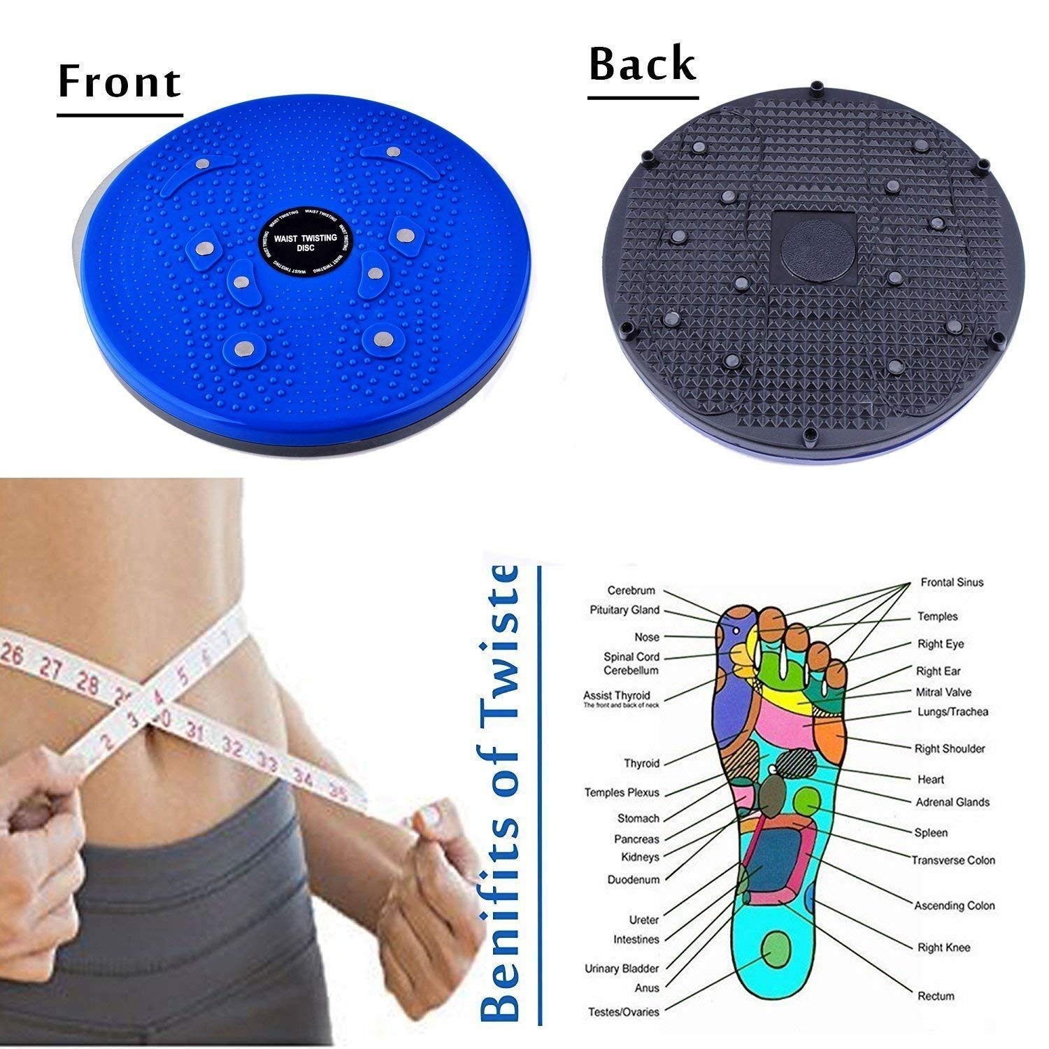 Tummy Twister Acupressure Twister (Magnets) Useful for Figure Tone-up Magnetic Twisting Machine Tummy Twister-Abdominal Trimmer-Waist Trimmer-Abs Exerciser-Body Toner-Fat Buster (Multicolor)